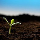 Testimonials 13 học viên kế toán việt hưng