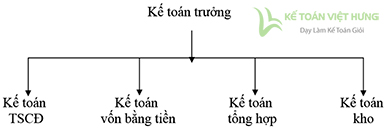 doanh nghiệp may mặc