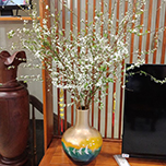 Testimonials 41 học viên nguyễn thị thu