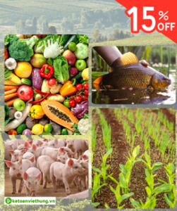 Khóa học kế toán hợp tác xã nông nghiệp