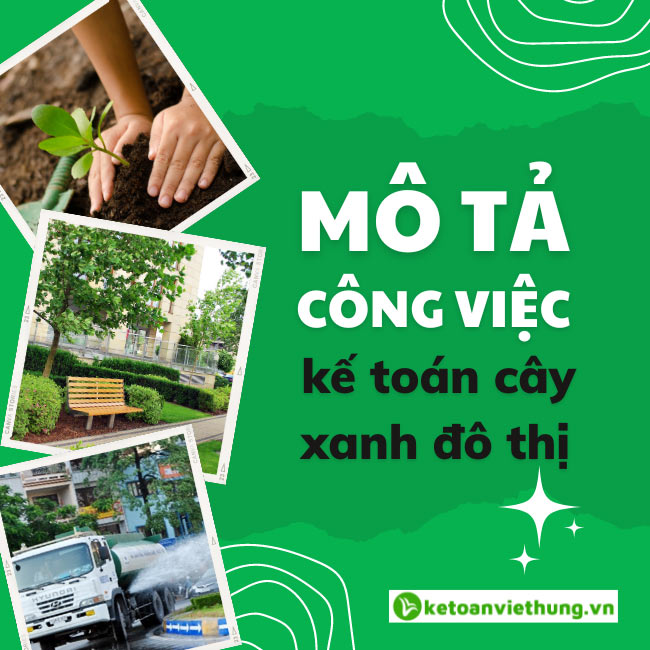 cong viec ke toan cong ty cay xanh do thi 1