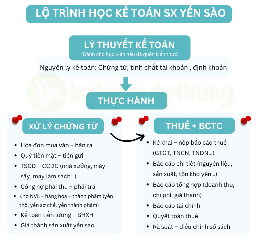 Khóa học kế toán công ty chế biến và kinh doanh yến sào 1 kế toán sản xuất công ty yến sào 1