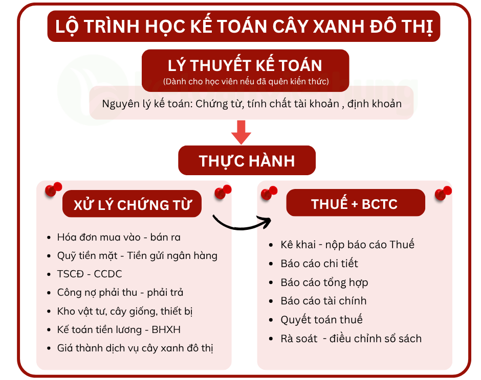 Khóa học thực hành kế toán công ty cây xanh đô thị 1 kế toán công ty cây xanh 1
