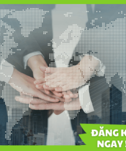 báo cáo tài chính hợp nhất