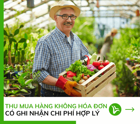 Thu mua hàng người nông dân không có hóa đơn thì ghi nhận chi phí hợp lý không? 14 mua hàng không có hoá đơn