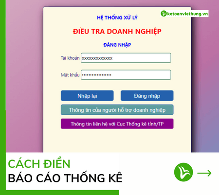 báo cáo thống kê