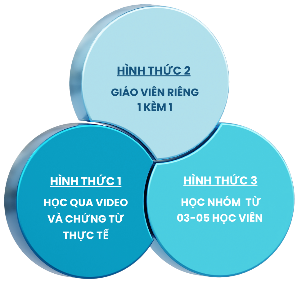 Học Kế Toán Misa online 12 hinh thuc hoc