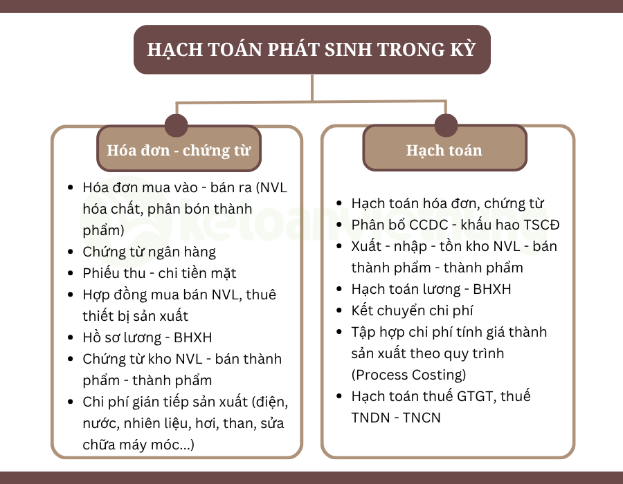 Khóa học kế toán doanh nghiệp sản xuất phân bón 3 kế toán doanh nghiệp sản xuất phân bón 4