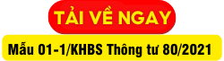 hóa đơn thay thế 11