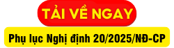 nghị định 20 giao dịch liên kết 5