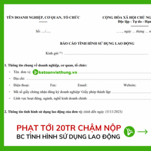 báo cáo tình hình sử dụng lao động