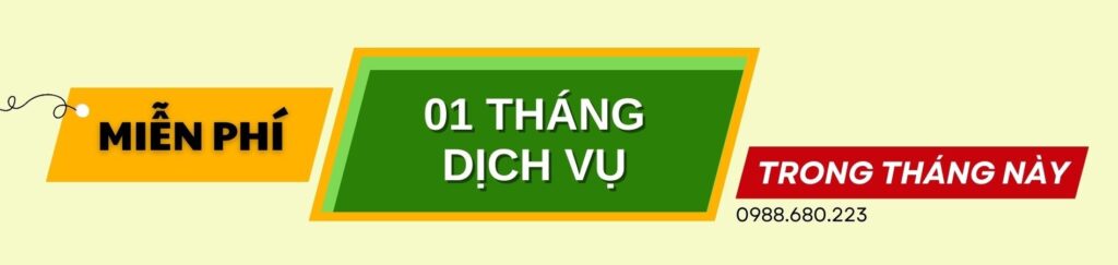 dich vu bctc1